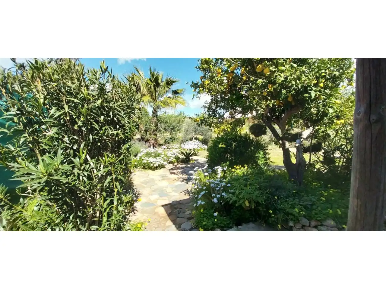 Jardí de Casa o xalet en venda en Cartagena amb Aire condicionat, Jardí privat i Terrassa