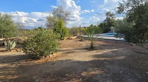 Foto 5 de Finca rústica en venda a Hinojosas de Calatrava, Ciudad Real