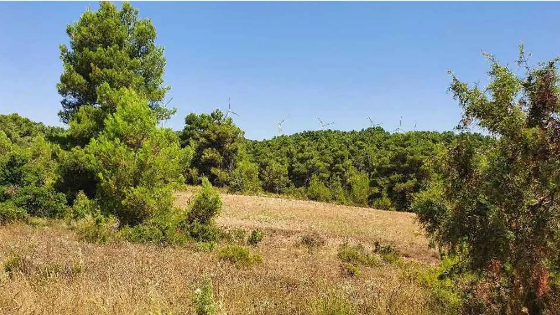 Terreno en venta en Huelma