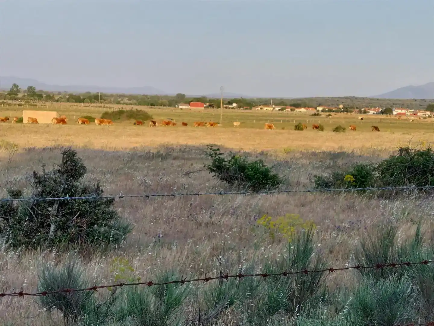 Finca rústica en venda en Ciudad Rodrigo