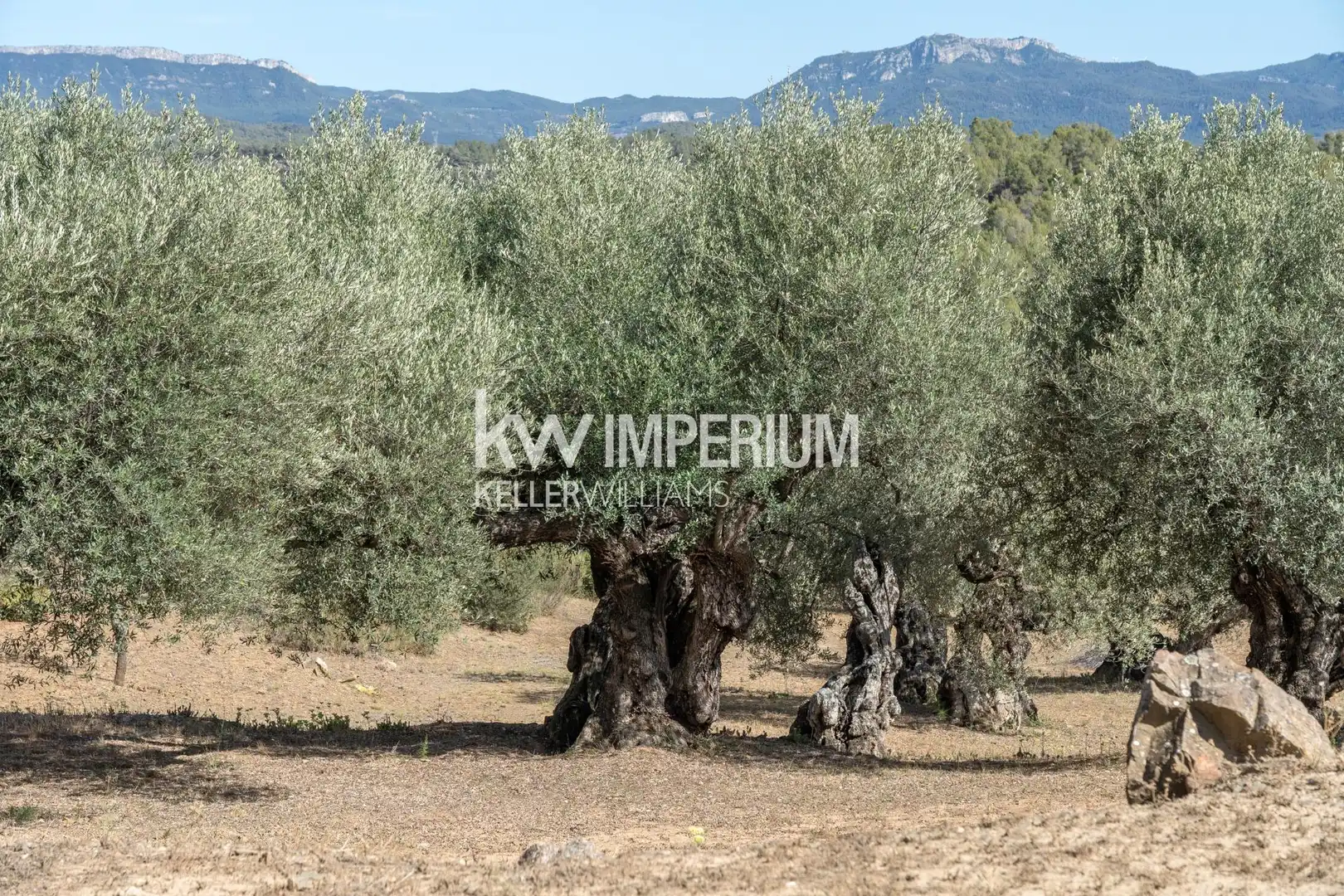 Finca rústica en venda en El Molar (Tarragona) amb Aire condicionat, Calefacció i Jardí privat