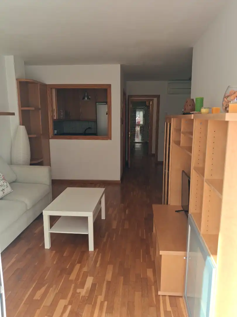 Living room of Apartments for rent in  Palma de Mallorca  with Air Conditioner, Parquet flooring and Furnished