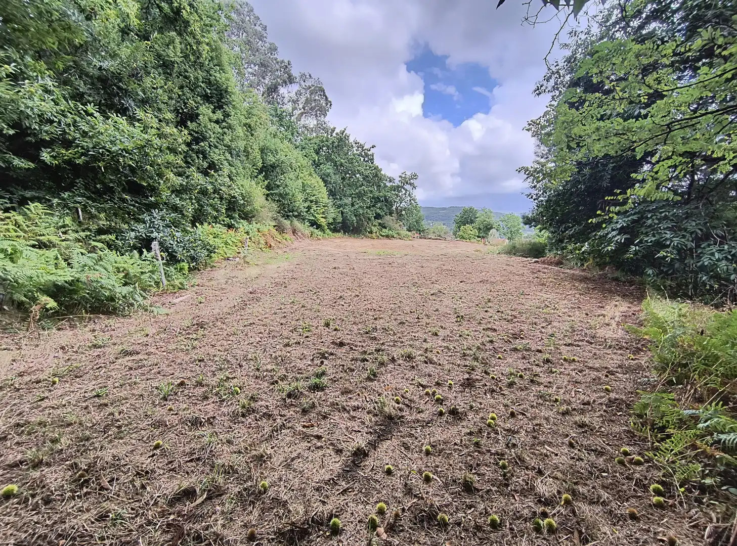 Terrenos y solares en venta en Mondariz, imagen 4
