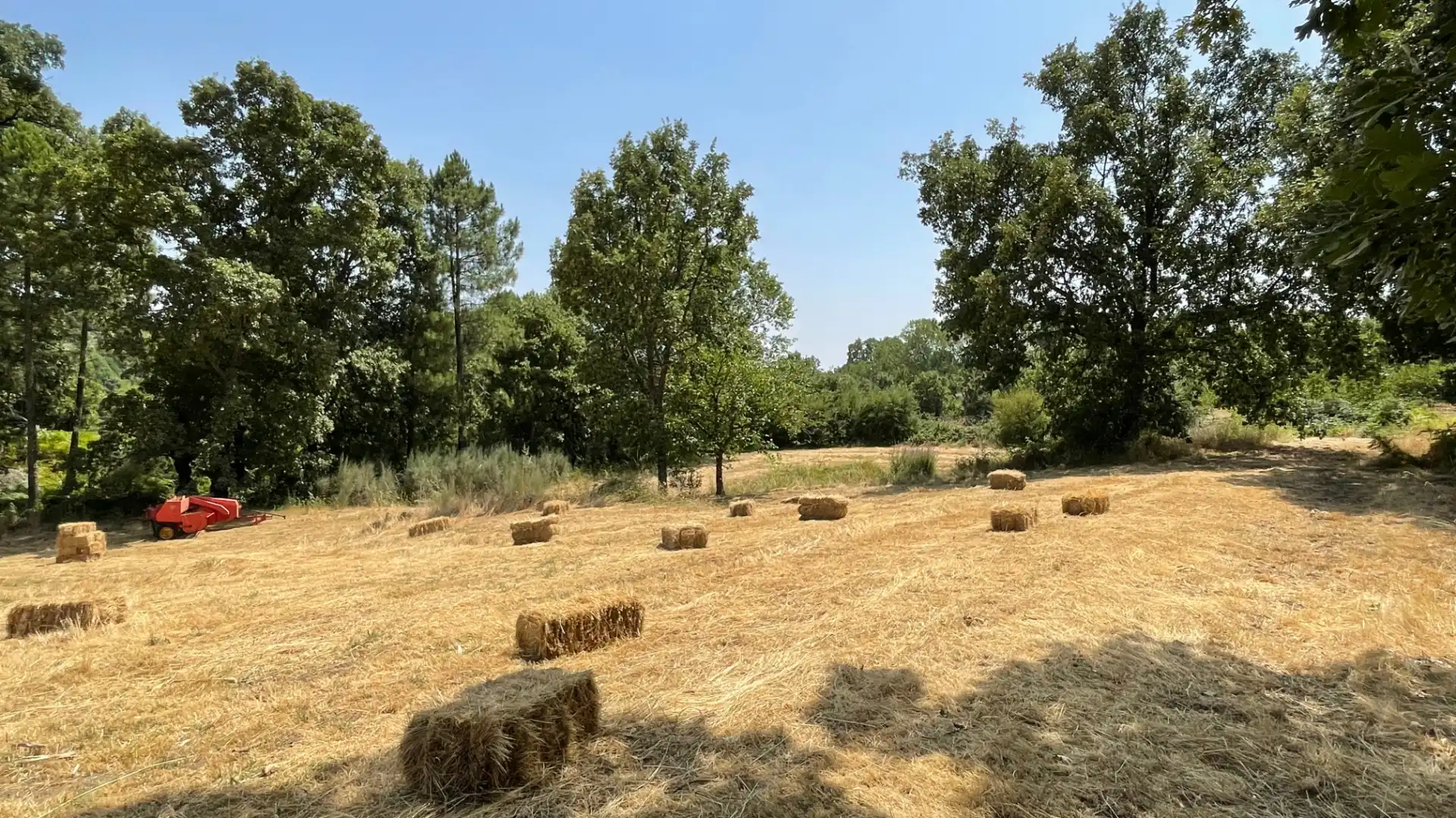 Grundstücke zum Verkauf in El Arenal 