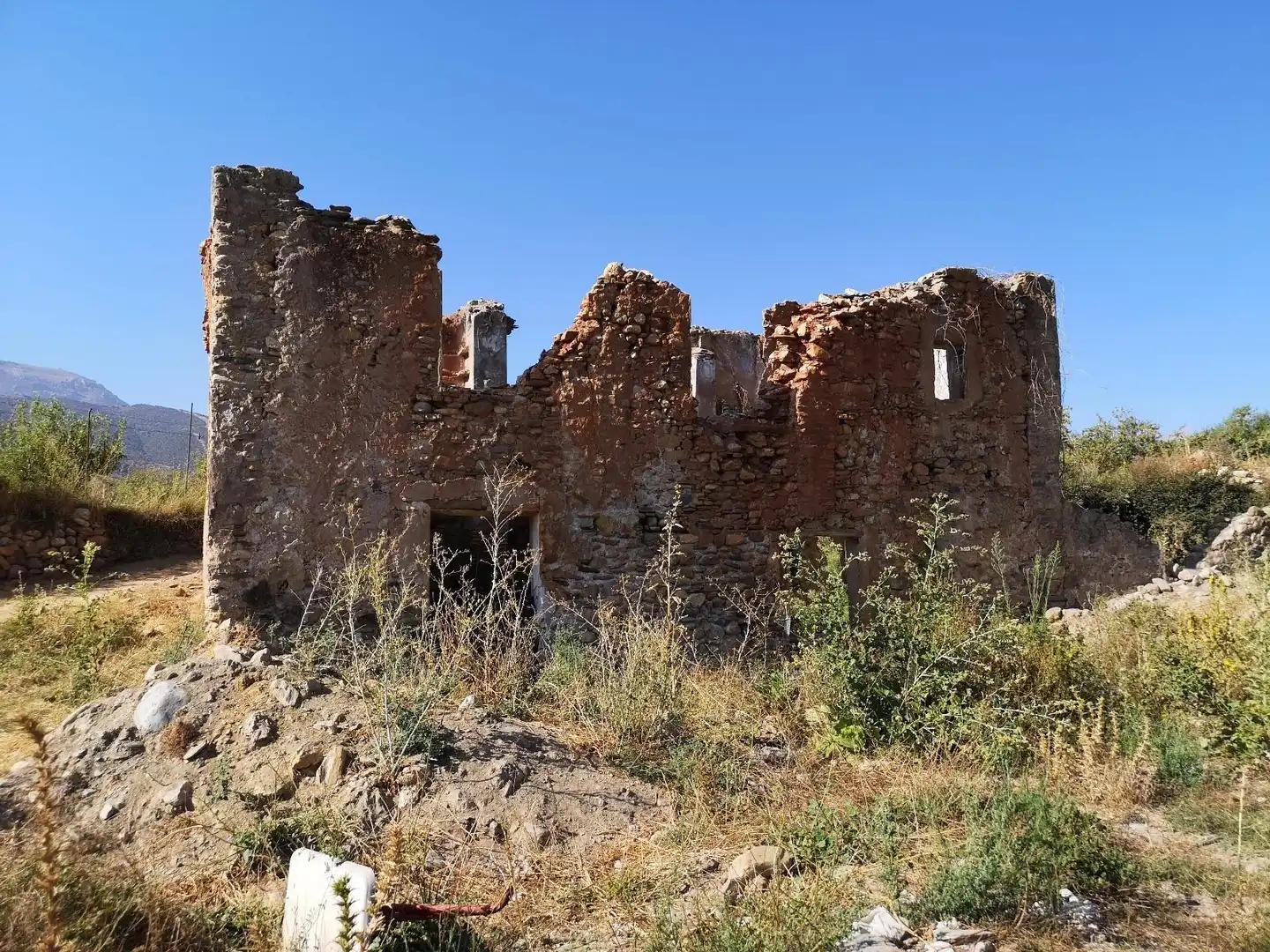 Terreny rústic en venda a PAGO ACEQUIA BAJA Polígono 11 Parcela 174 11, imagen 5