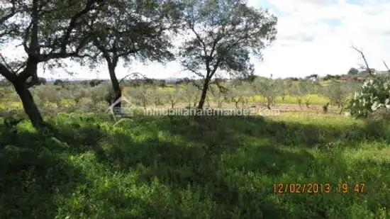 Terreni e lotti in vendita a Arroyo de la Luz