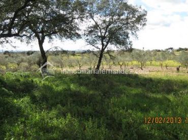 Terreno rústico en venta en Arroyo de la Luz