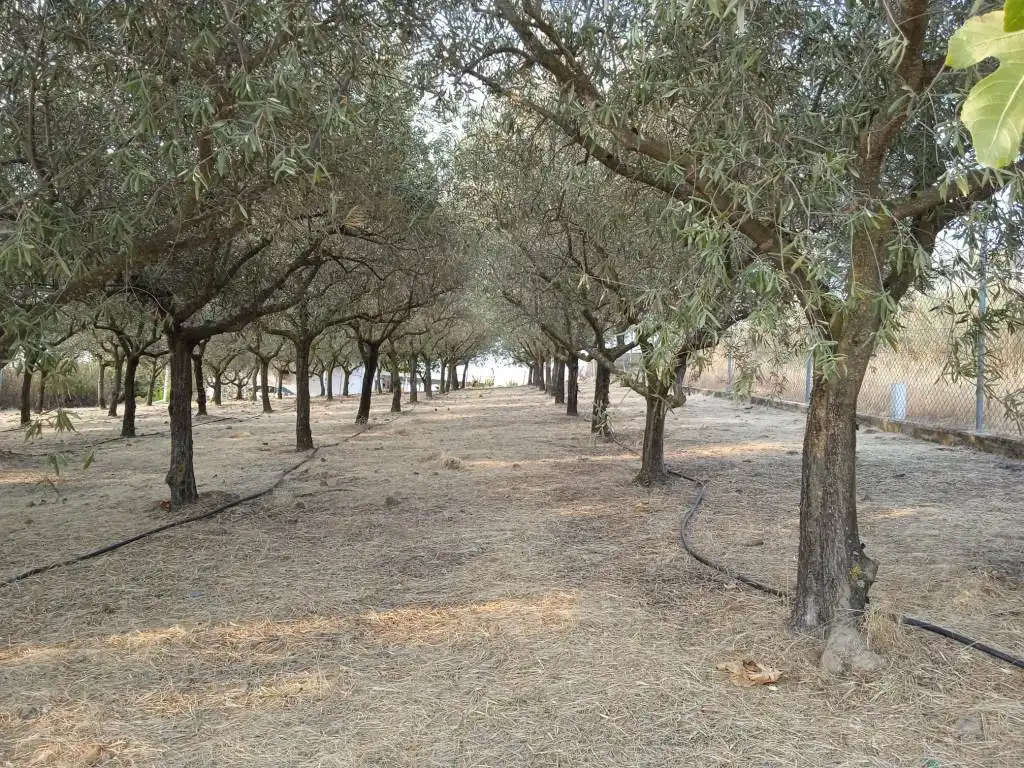 Xalet amb jardí en venda a Medellín, imagen 50