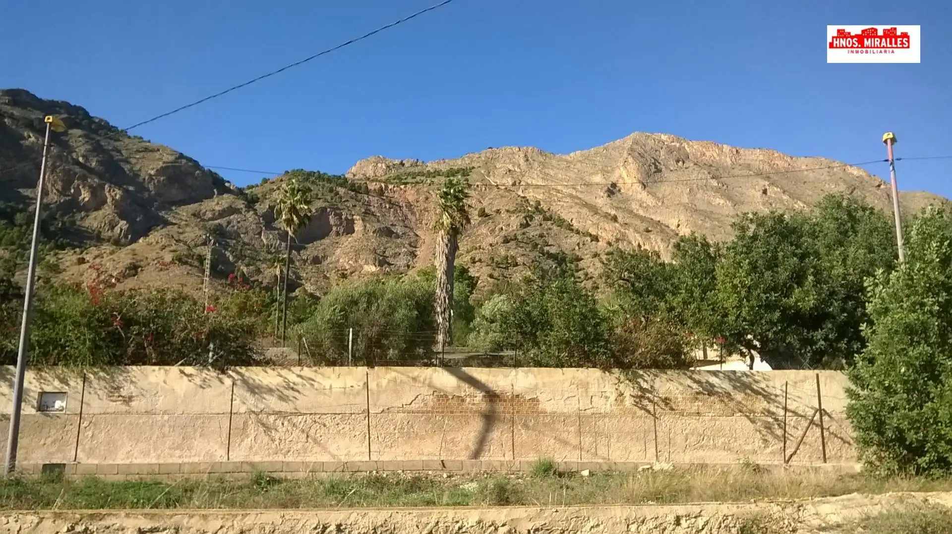 Vista exterior de Finca rústica en venta en Orihuela