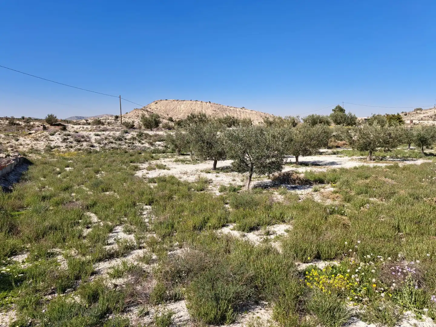 Terreno rustico in vendita a Plaça Industrial Garganta, imagen 2