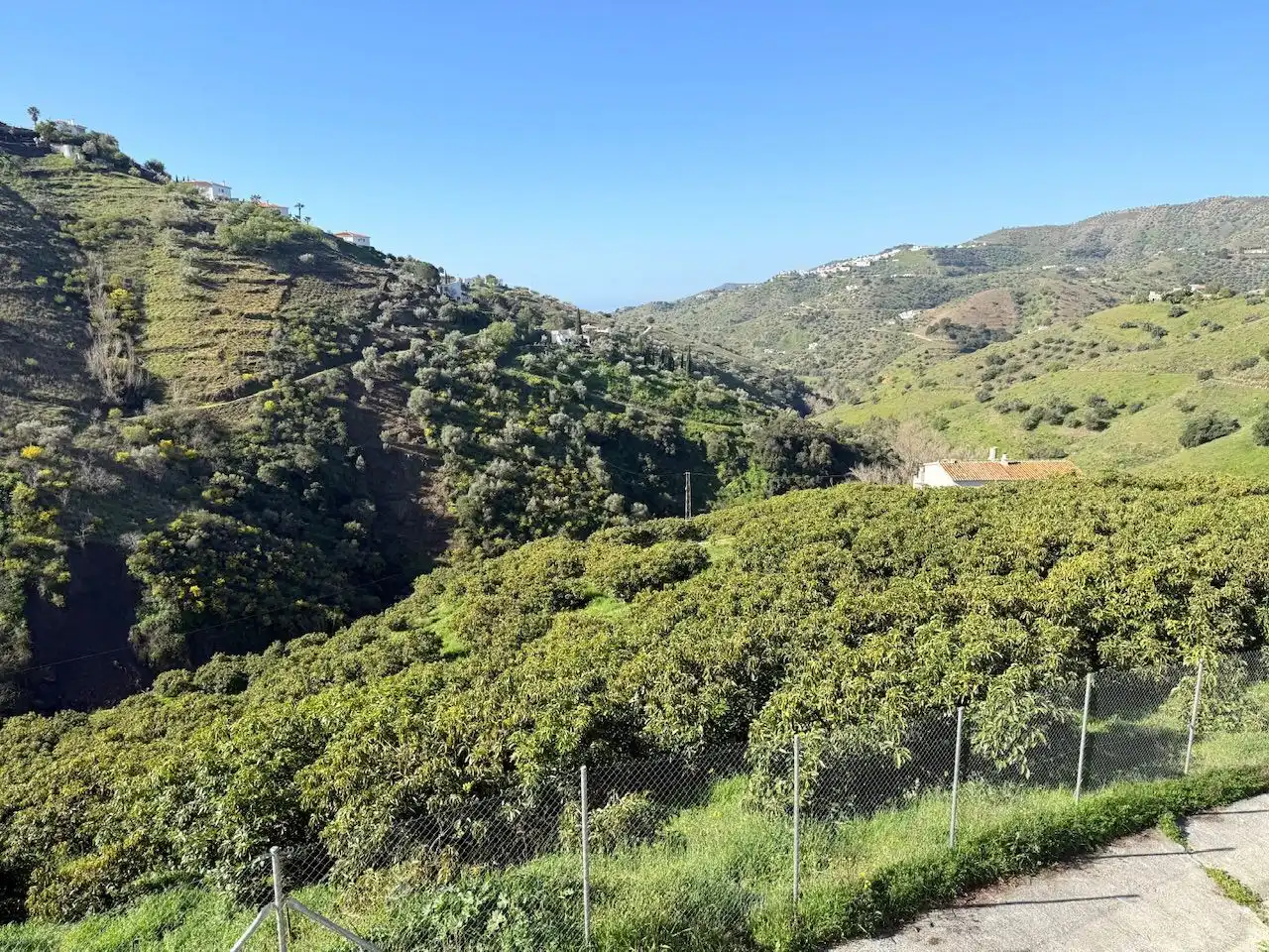 Land for sale in Canillas de Albaida