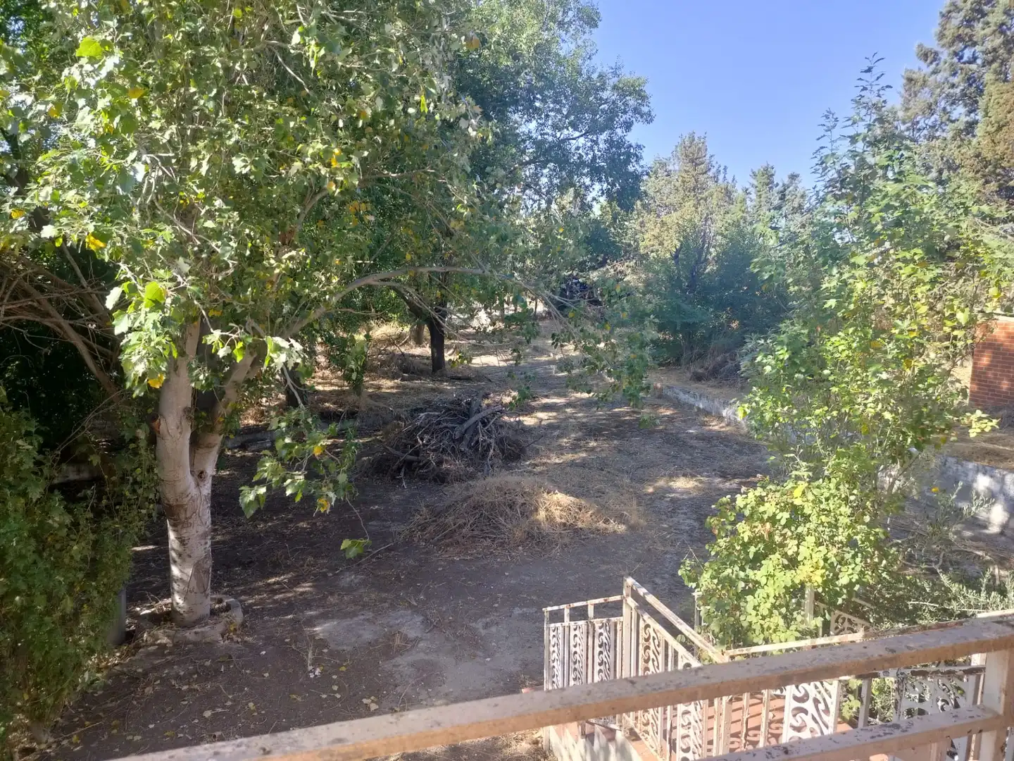 Chalet con piscina en venta en El Viso de San Juan, imagen 4
