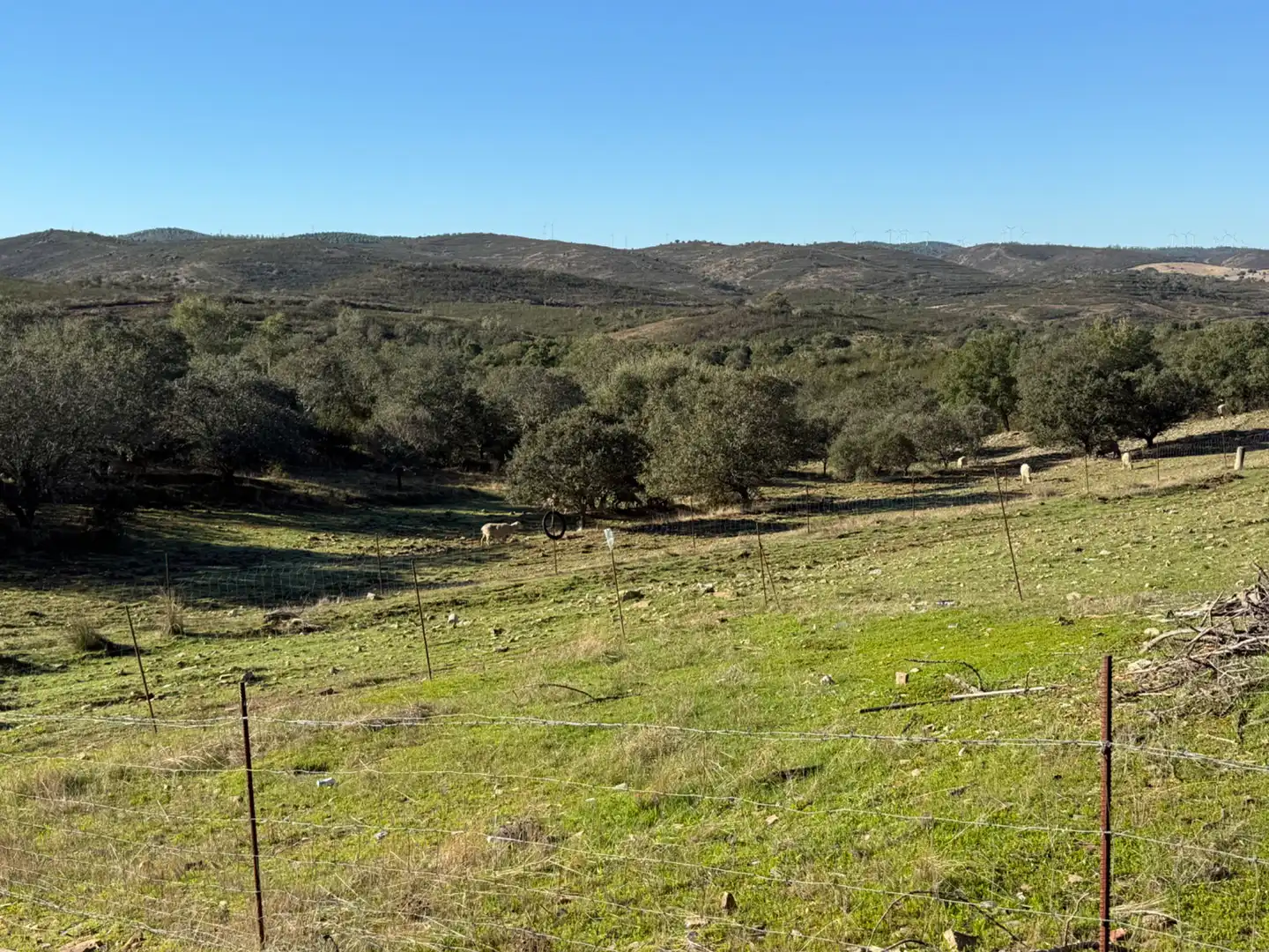 Finca rústica en venta en Villanueva de los Castillejos