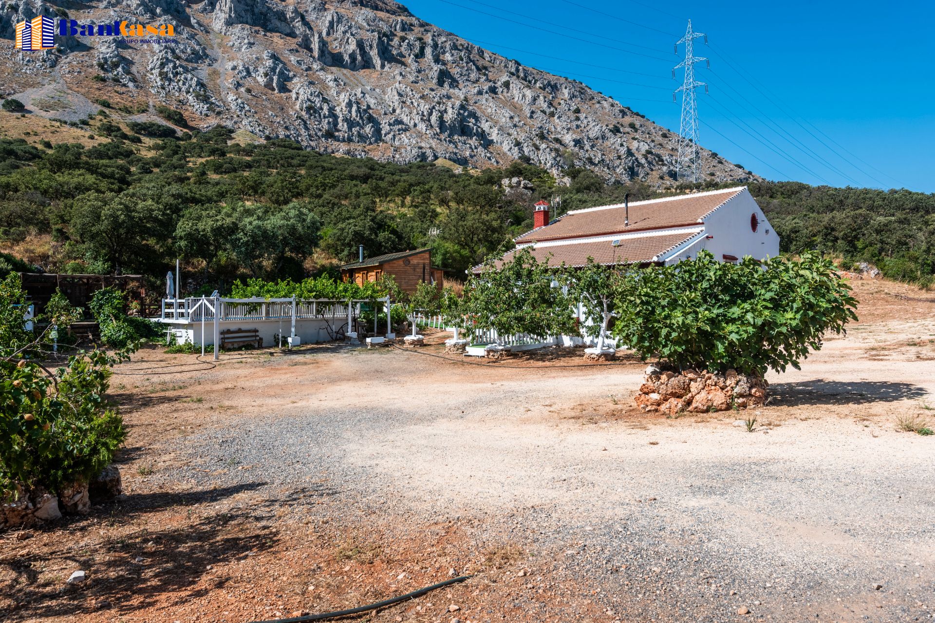 Vista exterior de Finca rústica en venda en Antequera amb Jardí privat, Piscina i Moblat