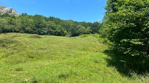 FINCA RÚSTICA CON CUADRA  CERCA DE ARRIONDAS, immagine 3