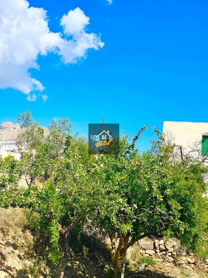Casa rústica en venda a Vélez-Rubio, imagen 5