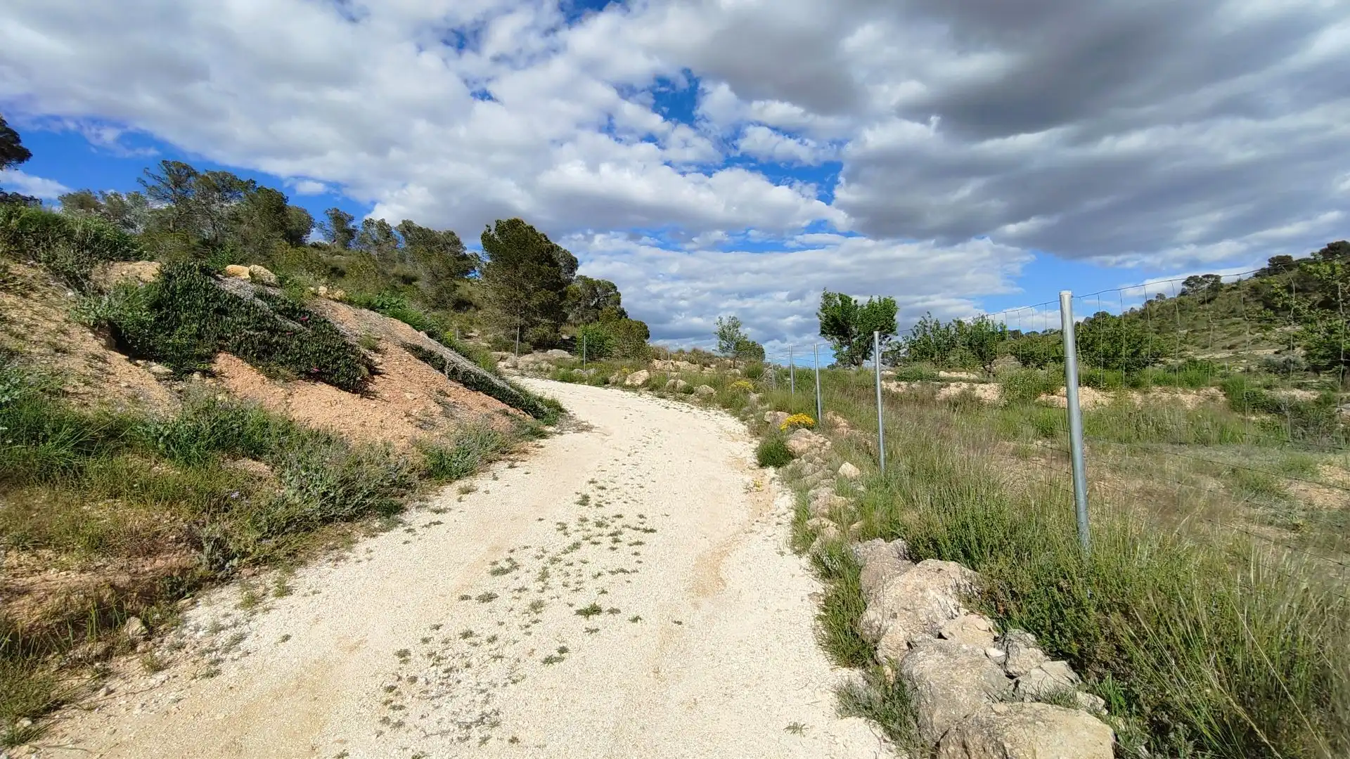 Grundstücke zum Verkauf in Jumilla