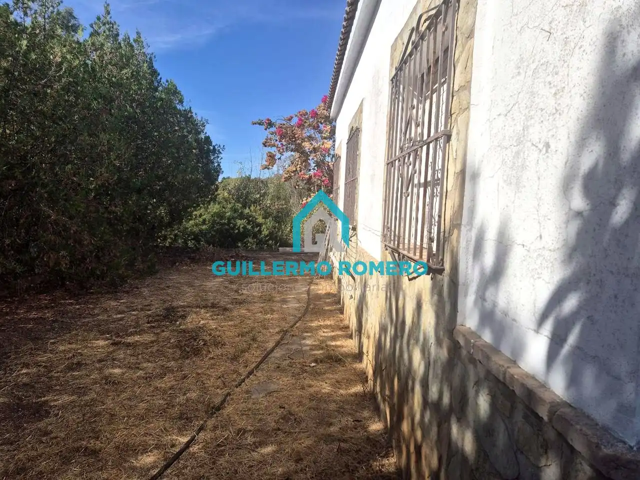 Vista exterior de Finca rústica en venta en La Puebla del Río