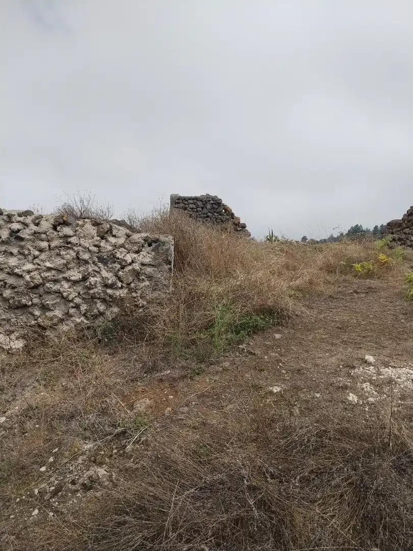 Terreny rústic en venda a La Perdoma - San Antonio - Benijos, imagen 9