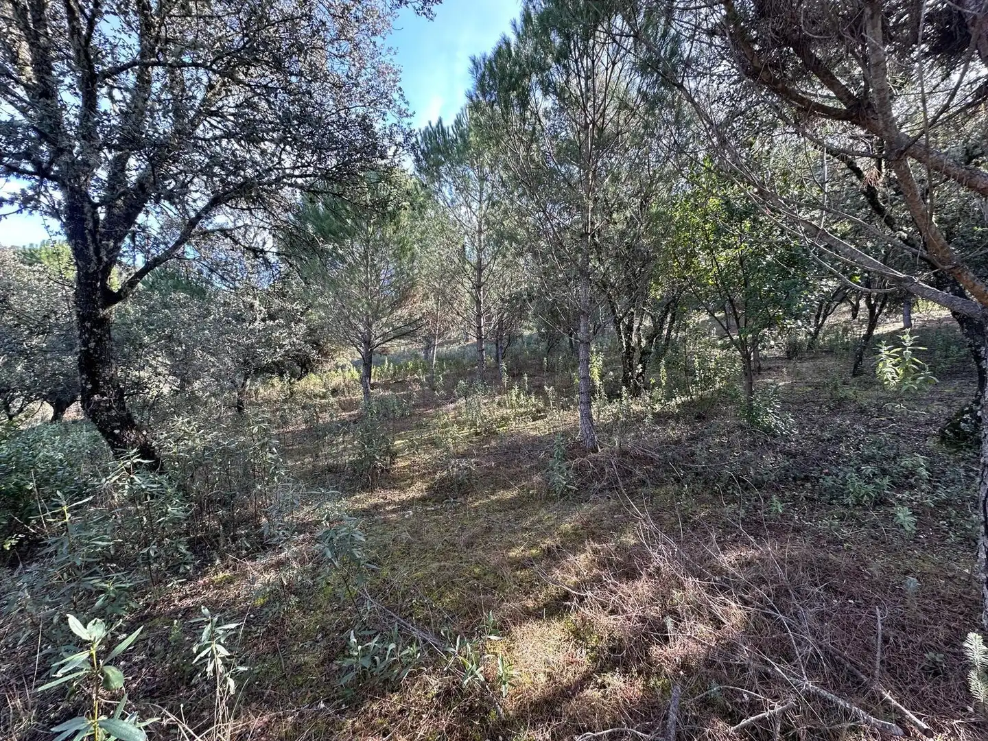 Casa o chalet en venta en Villaviciosa de Córdoba con Calefacción, Jardín privado y Terraza