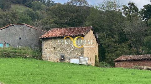 Cuadra con finca cerca de Cangas de Onís., imatge 5