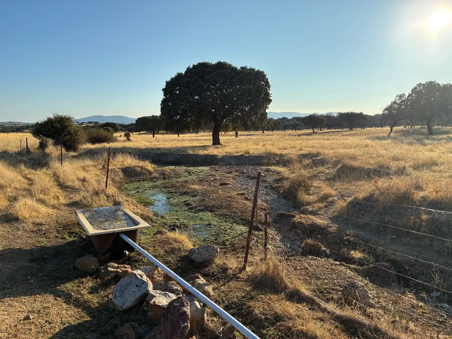 Rural land for sale in Mohedas de la Jara, imagen 11