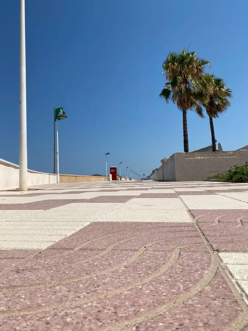 Vista exterior de Estudi en venda en Daimús amb Terrassa, Traster i Moblat