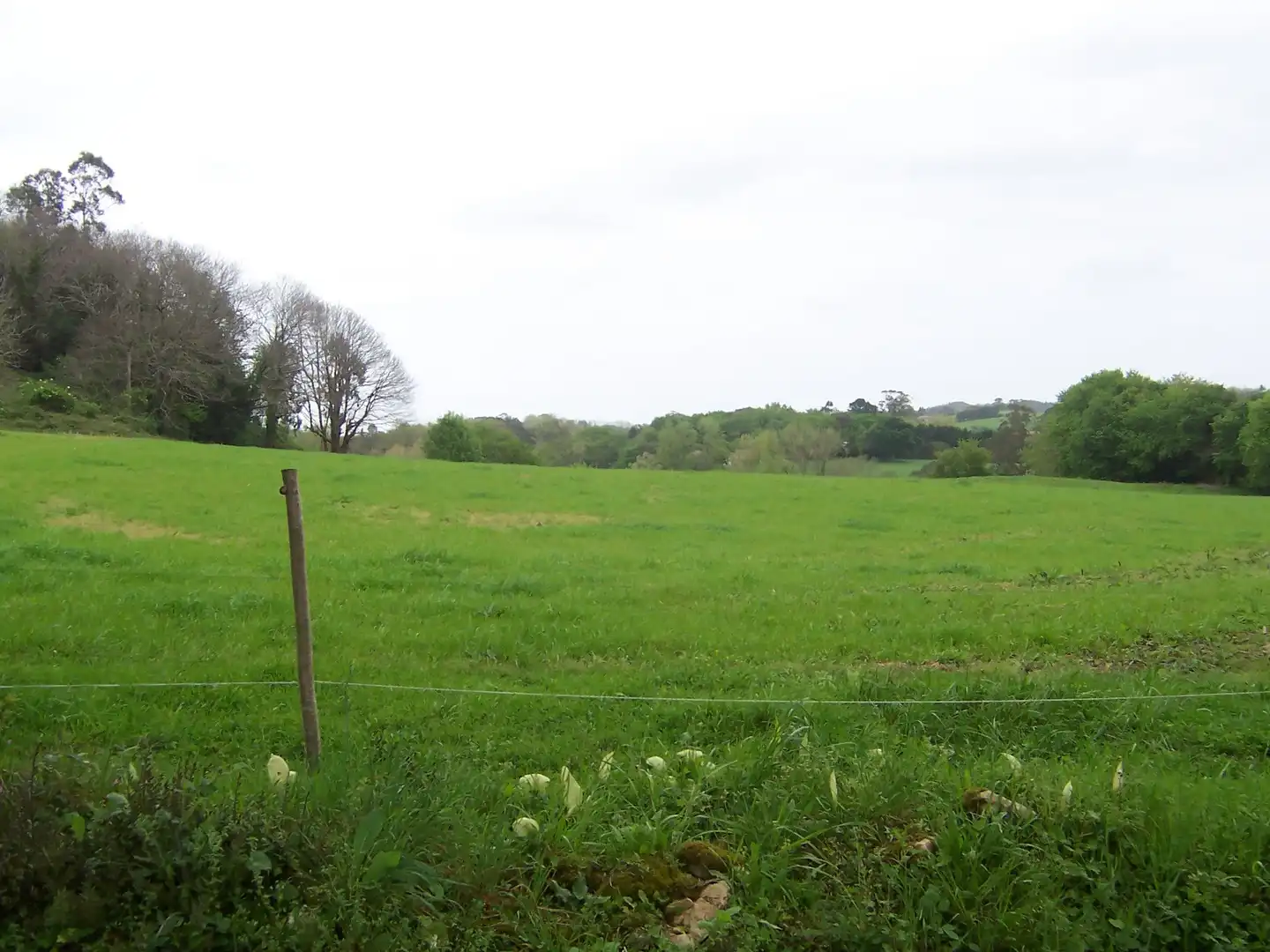 Finca rústica en venda en Marina de Cudeyo amb Jardí privat