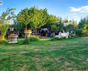 Jardí de Residencial en venda en Zarza de Tajo