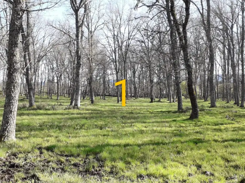 Terreno en venta en Nava de Francia