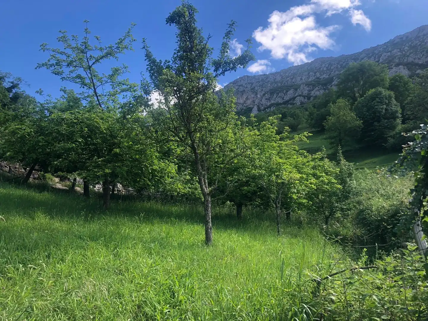 Casa o xalet en venda en Quirós amb Jardí privat, Terrassa i Balcó