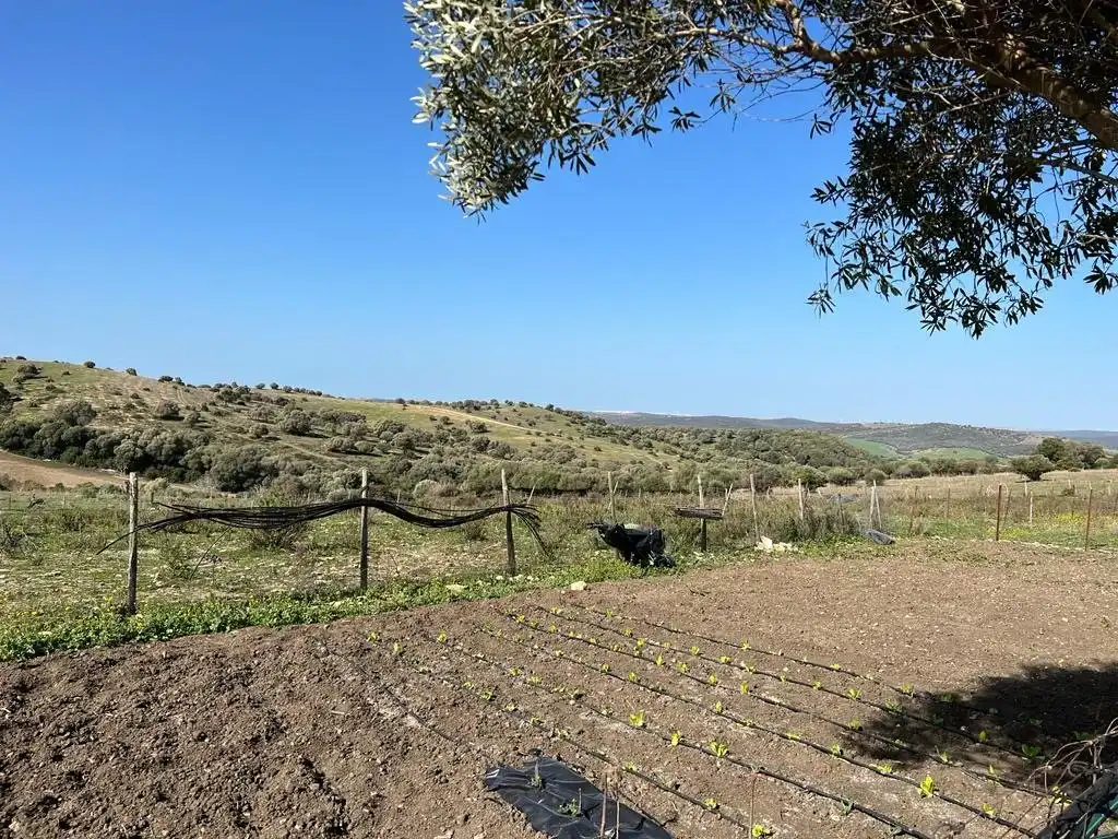 Haus zum Verkauf in Vejer, imagen 5