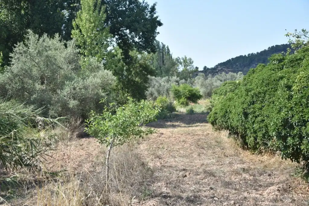 Terreni e lotti in vendita a Mazaleón, imagen 4