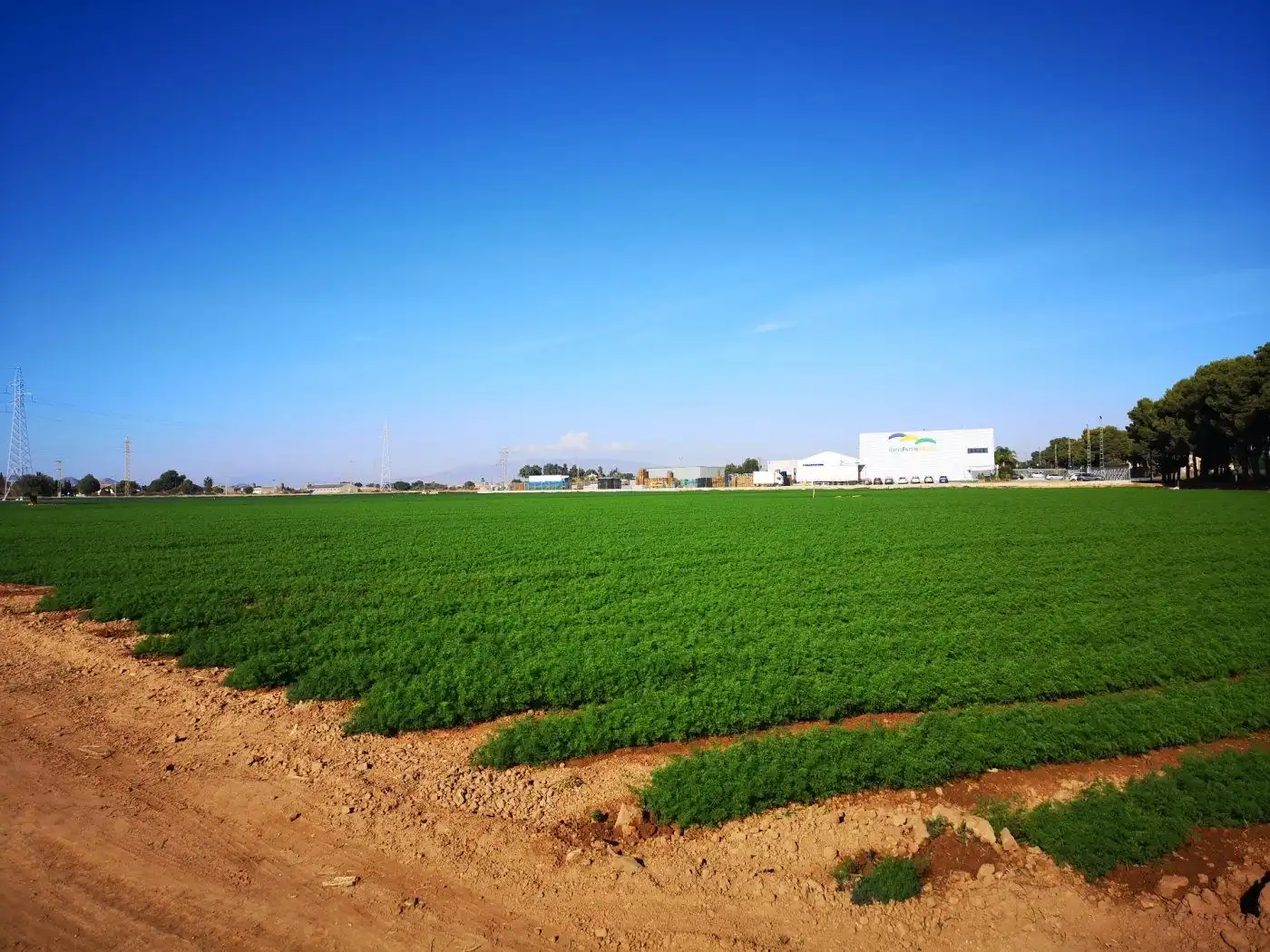 Vista exterior de Finca rústica en venta en Cartagena