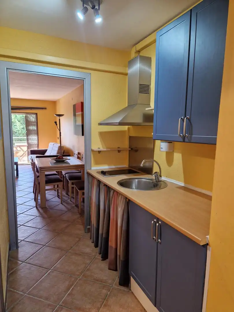Estudio con terraza en venta en FARIGOLA, imagen 8