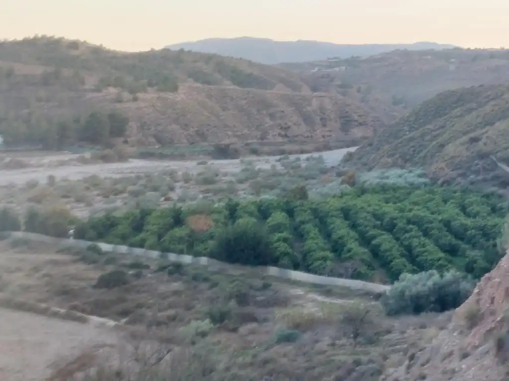 Land for sale in Alhabia