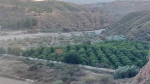 Foto 2 de Terreny en venda a Al-450, Alhabia, Almería