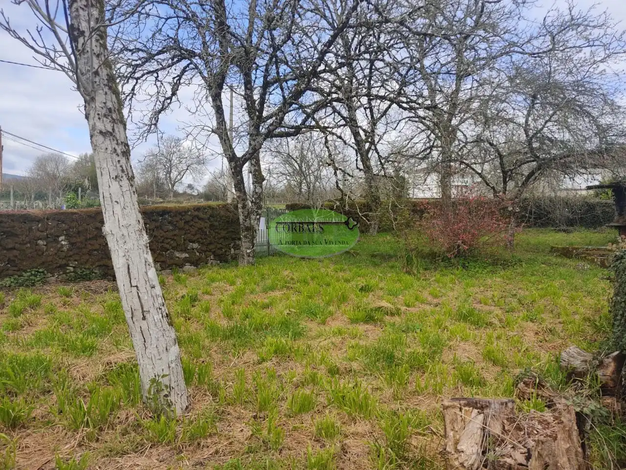 Casa amb terrassa en venda a San Cristovo de Cea, imagen 2