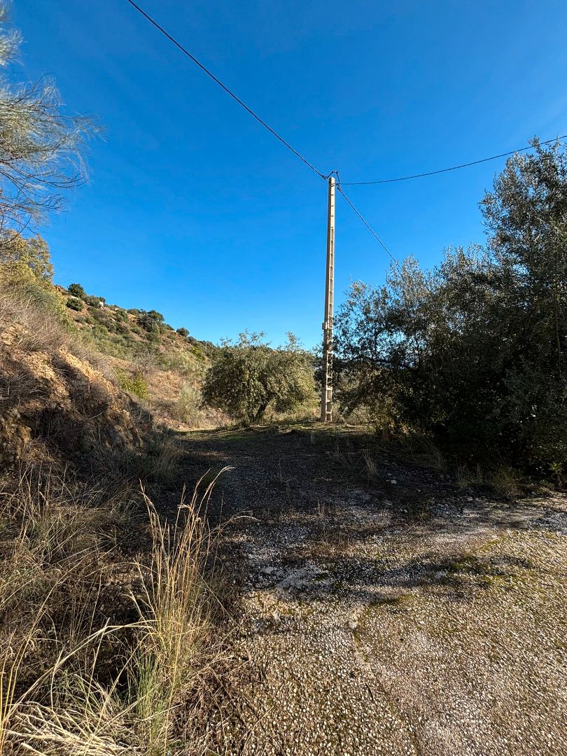 Casa o xalet en venda en Colmenar amb Jardí privat