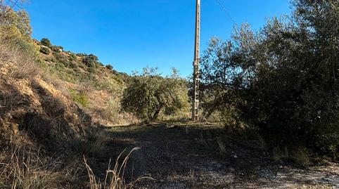 Foto 2 de Casa o xalet en venda a Calle Camino de Solano, Colmenar, Málaga