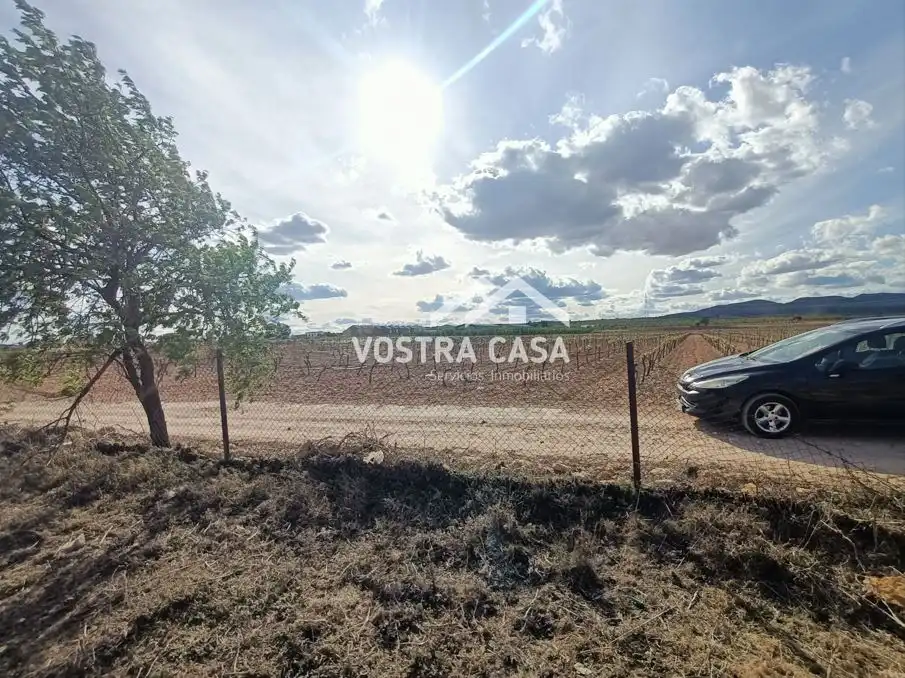 Terreny rústic en venda a PARAJE DE LA CERCA, imagen 4