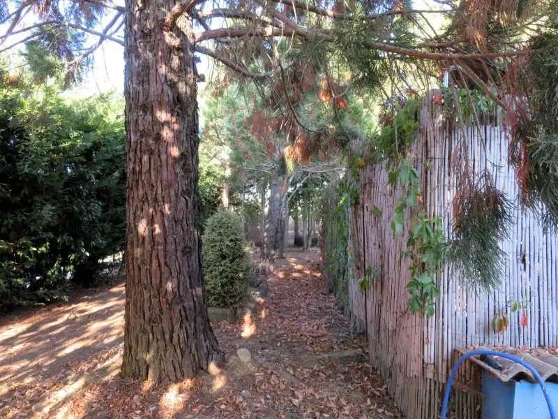 Jardín de Casa o chalet en venta en Santa Cristina de Valmadrigal con Calefacción, Jardín privado y Trastero