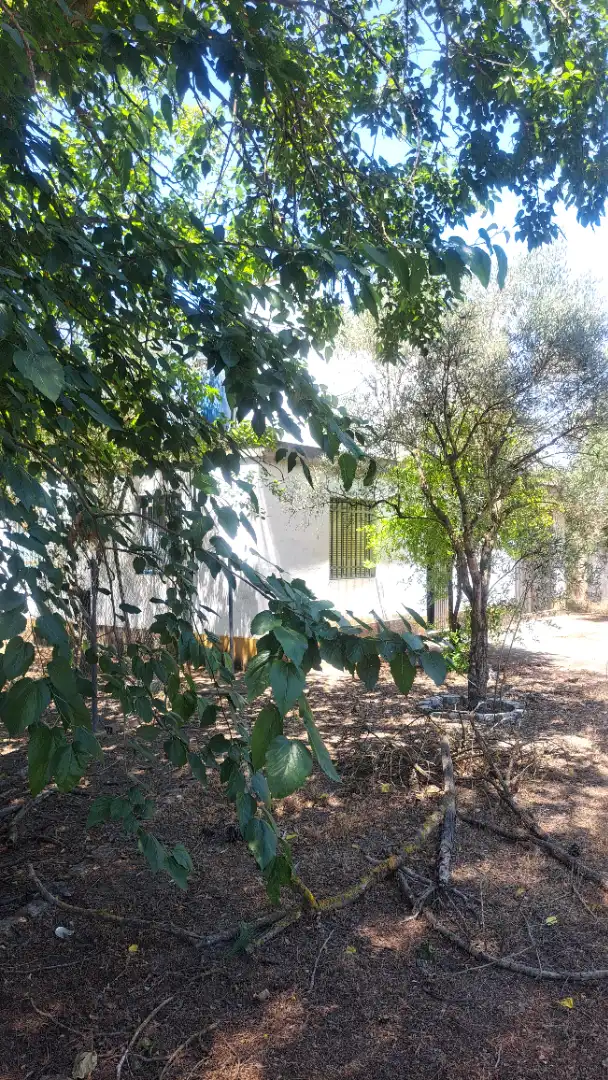 Casa rustica con giardino in vendita a Pedanías Norte, imagen 12