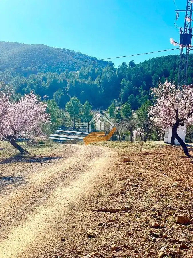 Casa rústica en venda a Vélez-Rubio, imagen 5