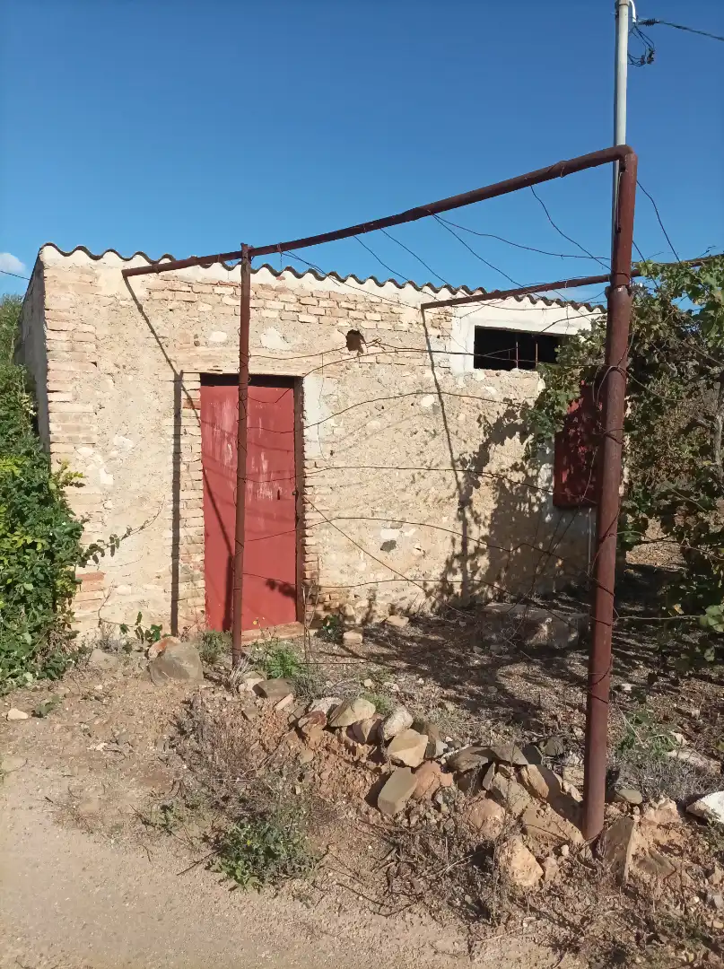 Vista exterior de Terreno en venta en Vilallonga del Camp