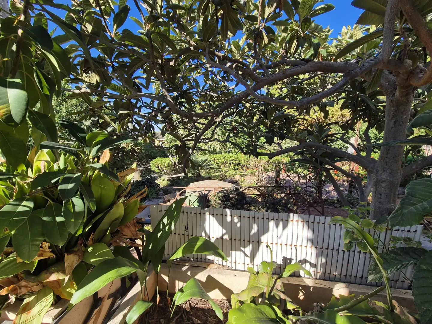 Casa o chalet en venta en Avenida Fuente del Oro, San Miguel - El Paraiso