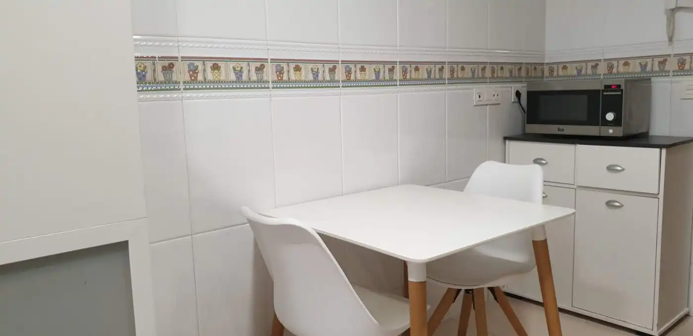 Kitchen of Flat for rent in Alicante / Alacant  with Air Conditioner, Terrace and Furnished