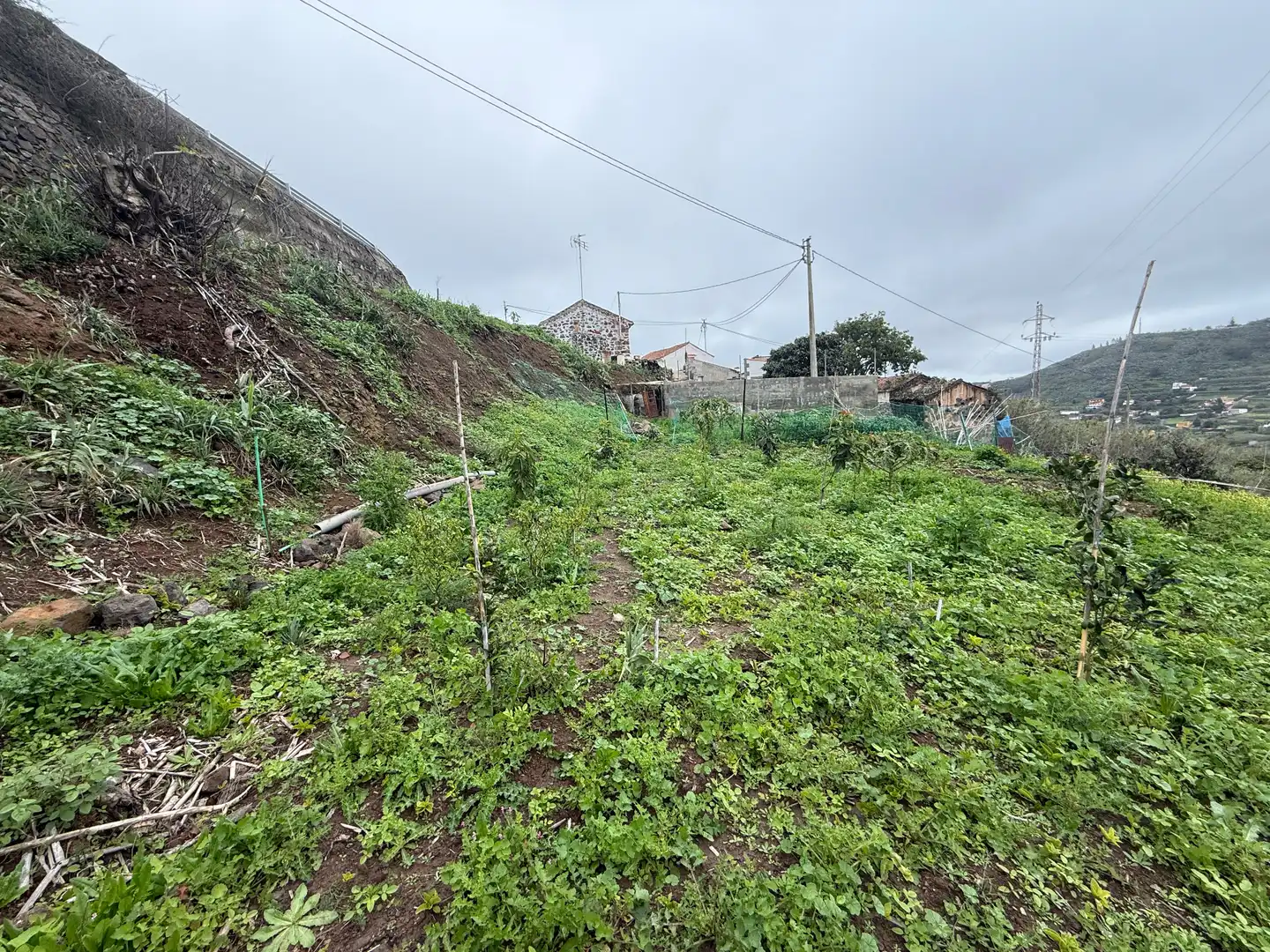 Finca rústica en venta en El Álamo - Arbejales