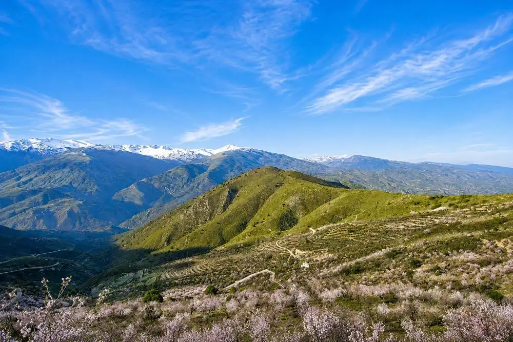Rural land for sale in Carretera A-4131, imagen 2