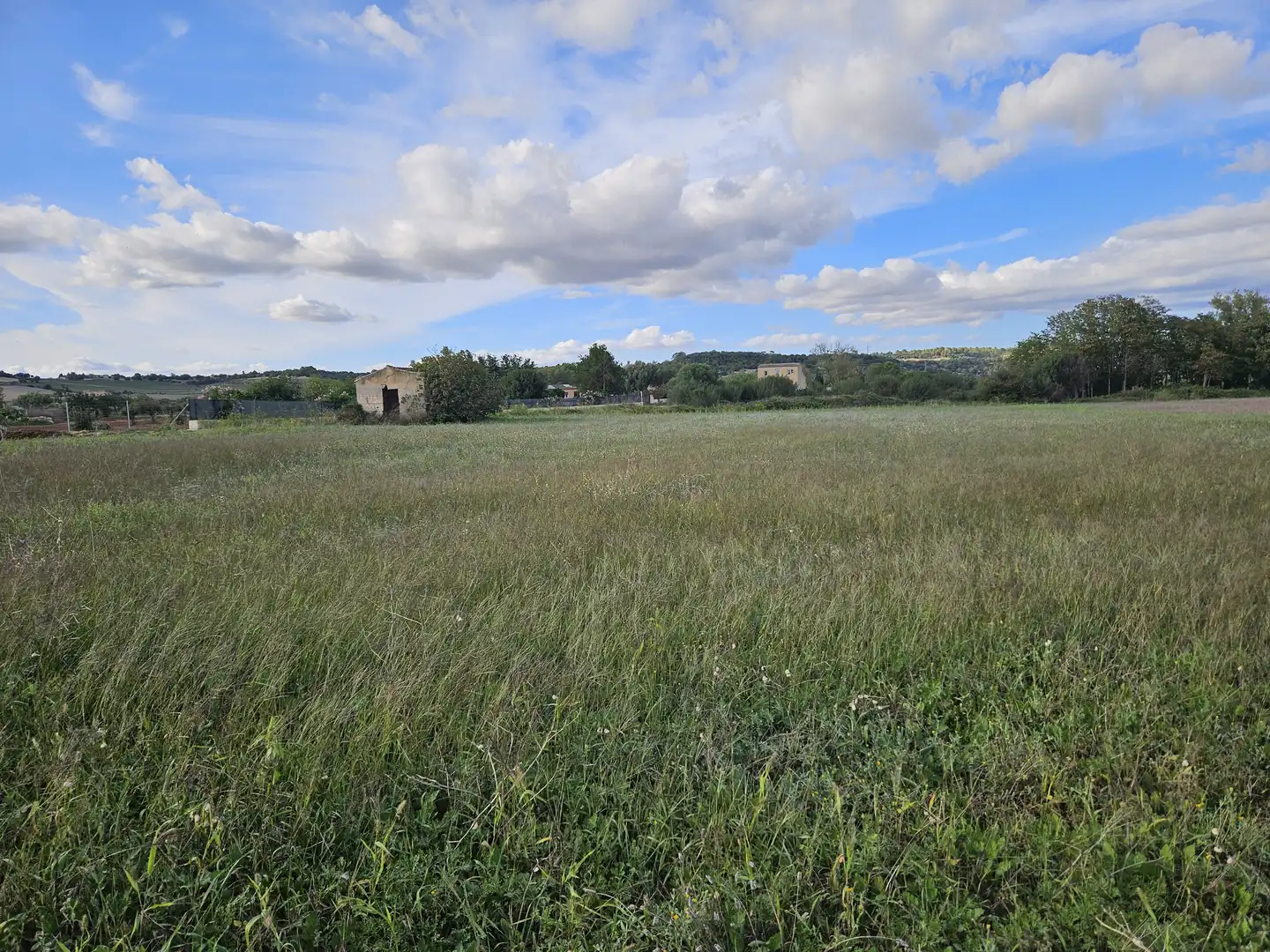 Terrain rustique à vendre à Petra, imagen 5